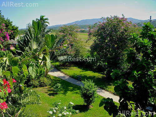 Sandals Montego Bay 8